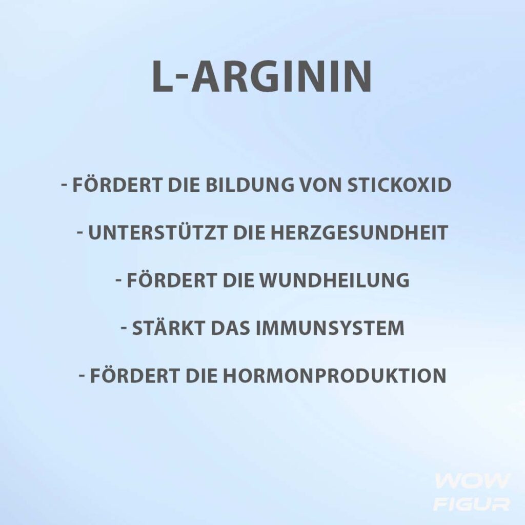 L- ARGININ wirkung, nutzen und Vorteile auf einen blick in Stichpunkten aufgelistet