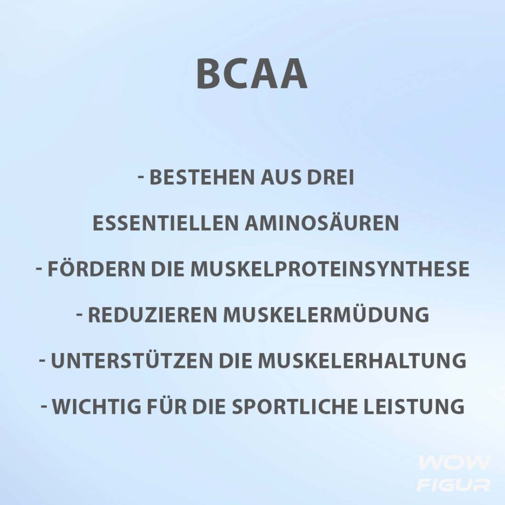 Aminosäure BCAA vorteile, wirkung und nutzen auf einen blick in Stichpunkten aufgelistet