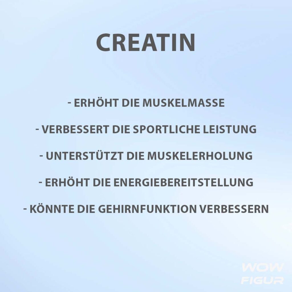 CREATIN vorteile, wirkung und nutzen auf einen blick in Stichpunkten aufgelistet