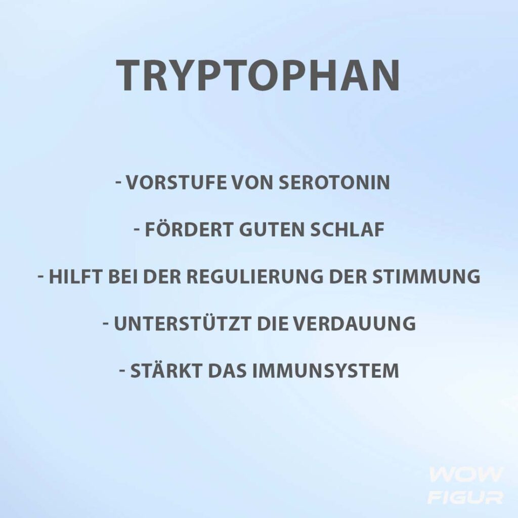 Ansicht von L-TRYPTOPHAN wirkung, nutzen und Vorteile auf einen blick in Stichpunkten aufgelistet