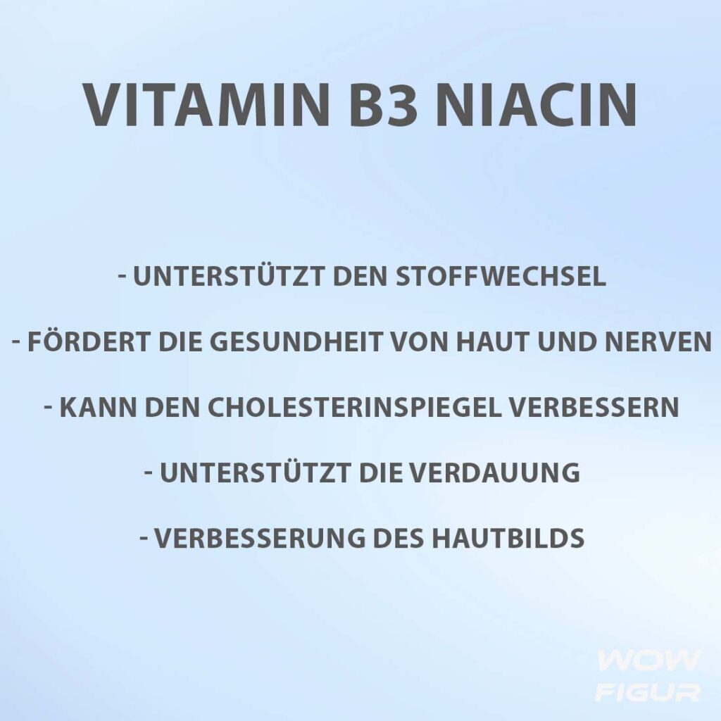 grafik was ist niacin b3 vitamin wirkung, nutzen und Vorteile auf einen blick in Stichpunkten aufgelistet