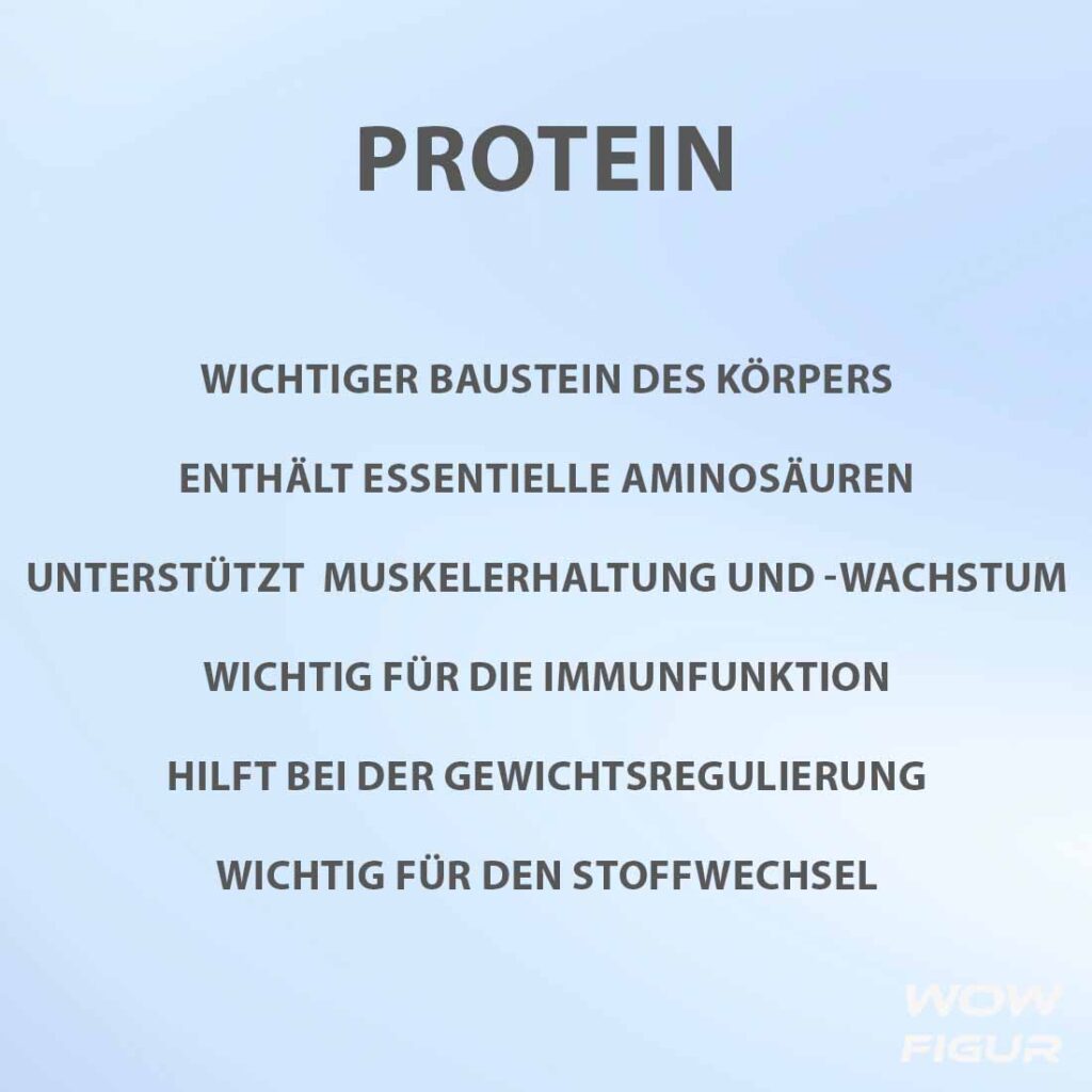 Vorteile von Protein auf einen blick